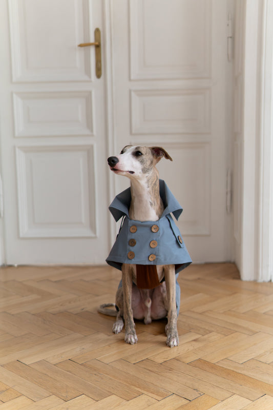 Water-repellent Dog Trench Coat - Light Blue